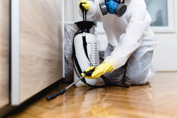 Best Termite Control Services  in Findlay, OH