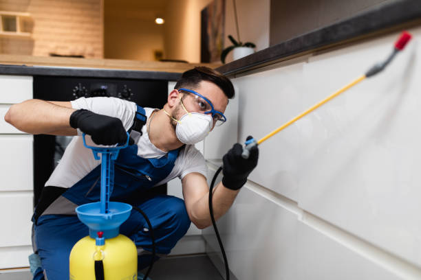 Best Residential Pest Control  in Findlay, OH