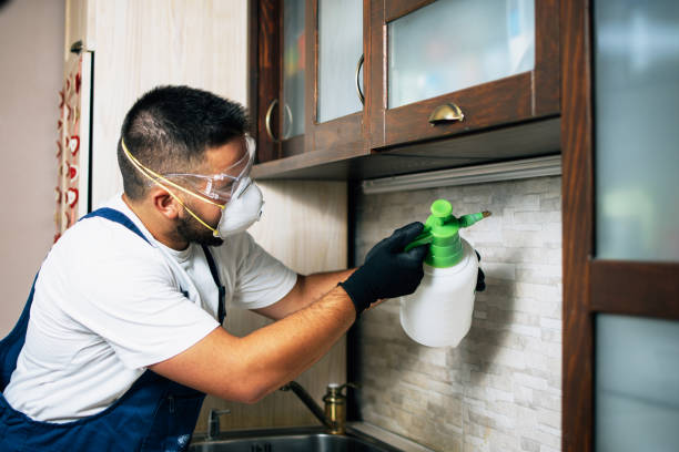 Pest Prevention Services in Findlay, OH