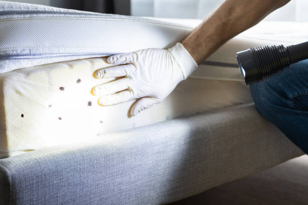 Best Bed Bug Extermination  in Findlay, OH